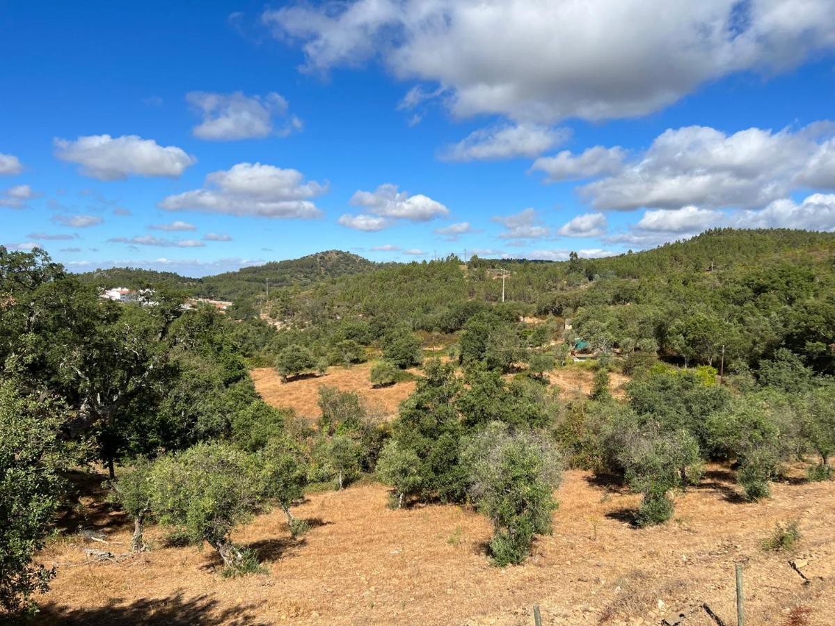 Villa Quinta Castanheiro Da Penha - Alegrete - Portalegre - Alentejo Extérieur photo